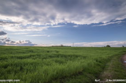 草地躺着写真,写真中的自然与宁静